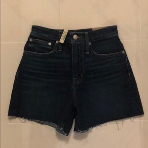 Curvy High-Rise Denim Shorts in Canterdale Wash